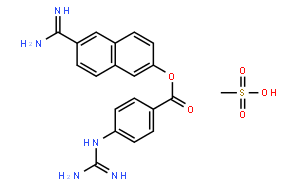 萘莫司他甲磺酸鹽