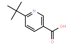 6-tert-butylnicotinic acid