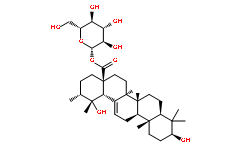 坡模酸-28-O-β-D-吡喃葡萄糖酯