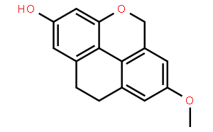 Flavidinin