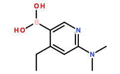 B-[6-(dimethylamino)-4-ethyl-3-pyridinyl]-Boronic acid hydrochloride