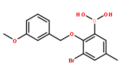 3-溴-5-甲基-2-(3`-甲氧基苄氧基)苯基硼酸