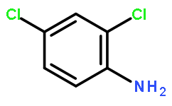 2,4-二氯苯胺-[13C6]
