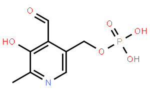 Pyridoxal 5-Phosphate Hydrate