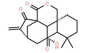 毛果香茶菜醛 A