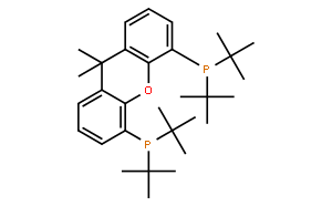 4,5-二(二叔丁基膦)-9,9-二甲基氧杂蒽