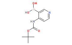 Boc-4-Aminopyridine-3-boronic acid