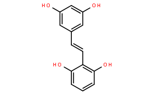 買麻藤醇；2,6,3',5'-四羥基二苯乙烯