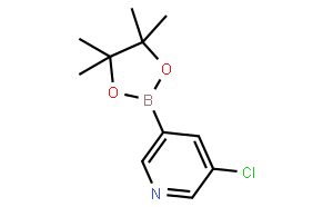5-氯吡啶-3-硼酸频哪醇酯
