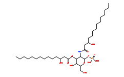 Lipid X