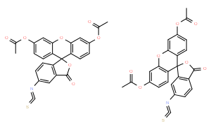 Fluorescein Diacetate 5(6)-isothiocyanate