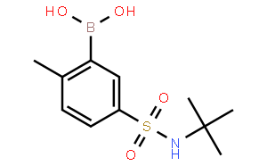 N-tert-Butyl3-borono-4-methylbenzenesulfonamide