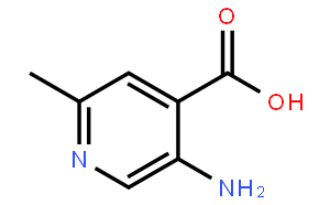 5-amino-2-methylpyridine-4-carboxylic acid