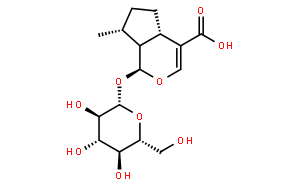 8-Epideoxyloganic acid
