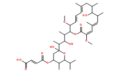 Bafilomycin C1