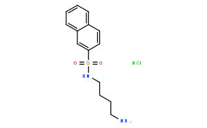 N-(4-Aminobutyl)-2-naphthalenesulfonamide Hydrochloride