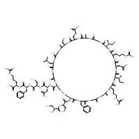 Atriopeptin II