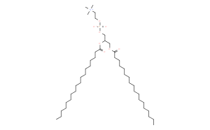 1,2-Distearoyl-sn-glycero-3-phosphocholine