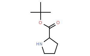 D-Proline tert-Butyl Ester