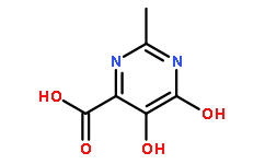 5,6-DIHYDROXY-2-METHYL-PYRIMIDINE-4-CARBOXYLIC ACID