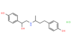 盐酸莱克多巴胺