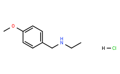Ethyl-(3-nitro-benzyl)-aMine HYDROCHLORIDE