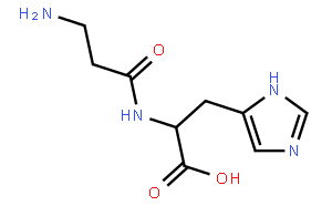 核糖核酸酶