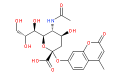 神經氨酸苷酶/唾液酸酶，NRH