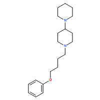 酪氨酸酶
