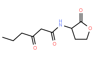 熒光素酶