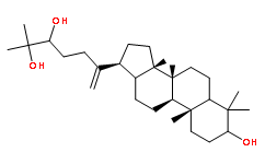 但馬膠