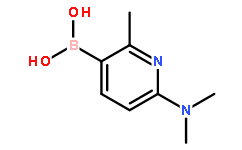 B-[6-(dimethylamino)-2-methyl-3-pyridinyl]-Boronic acid