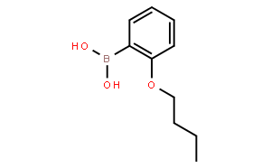 2-丁氧基苯硼酸