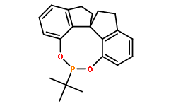 (11aS)-5-叔丁基-10,11,12,13-四氢-二茚并[7,1-de:1',7'-fg][1,3,2]二氧磷