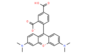 5-羧基四甲基羅丹明