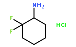 2,2-二氟環己胺鹽酸鹽