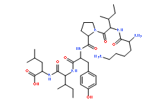 Neuromedin N
