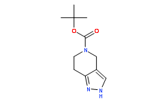6,7-二氢-2H-吡唑并[4,3-c]吡啶-5(4H)-羧酸叔丁酯