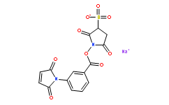 m-马来酰亚胺苯甲酸琥珀酰亚胺酯