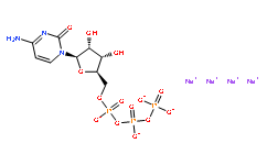 Cytidine 5'-Triphosphate Tetrasodium Solution