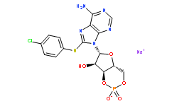 8-CPT-cAMP sodium salt