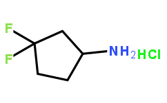3,3-二氟环戊胺盐酸盐