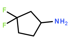 3,3-二氟环戊胺