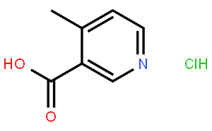 4-甲基烟碱.盐酸盐