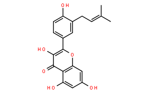 Isolicoflavonol 异甘草黄酮醇