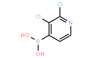 2,3-二氯吡啶-4-硼酸
