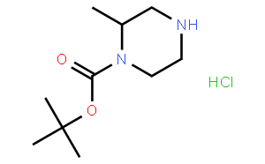 (S)-1-N-Boc-2-methyl Piperazine Hydrochloride