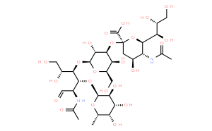 唾液酸化酶X