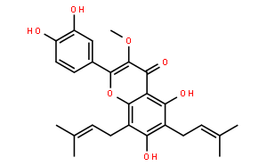 楮树黄酮醇B