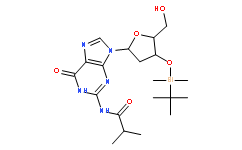 Guanosine,2'-deoxy-3'-O-[(1,1-dimethylethyl)dimethylsilyl]-N-(2-methyl-1-oxopropyl)-